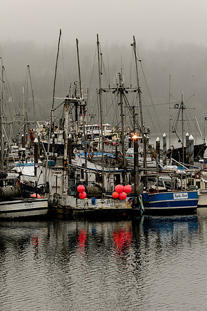 Morning At Neah Bay