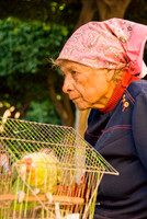 Parrot Lady,  SanMiguel, Mexico