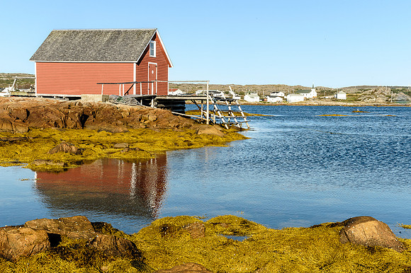 Tilting, Fogo Island, Nfld