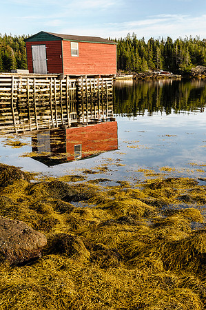 Hillgrade, Little Byrne Cove, Nfld