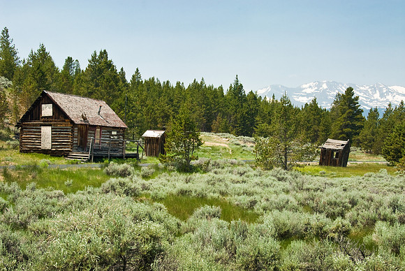 Old Homestead