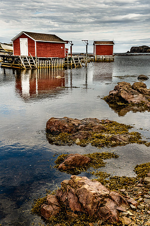 Durell, Twillingate, Nfld