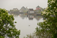 Stonehurst in Morning Fog