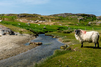 Westport's Secret West, County Mayo, Ireland