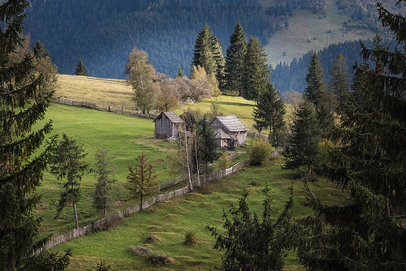 Sadova Hillside, Sadova, Romania