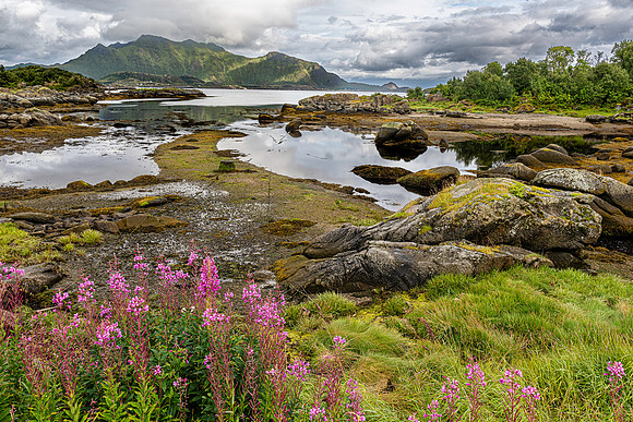 Klokkarvika, Lofoten, Norway