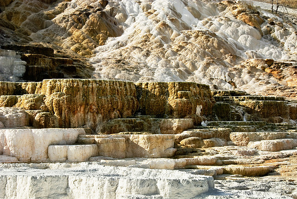 Salt steps