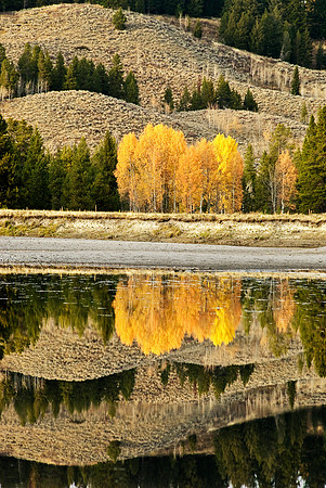 Fall Sentinels