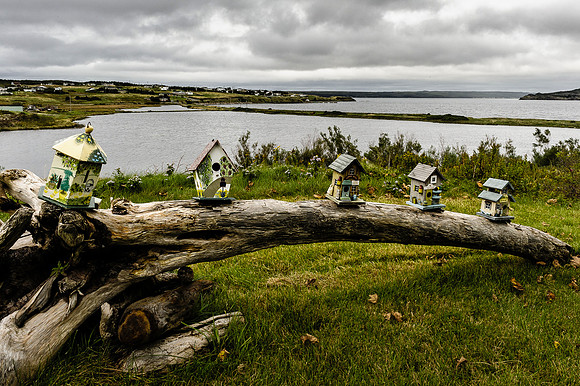 Trepassey, Nfld