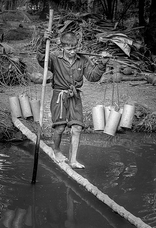Collecting Coconut Milk, Thailand
