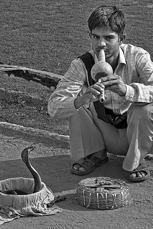 Snake Charmer, India
