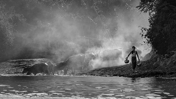 Water for Oxen, Myanmar