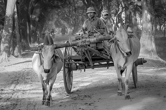 Ox Cart Highway, Myanmar