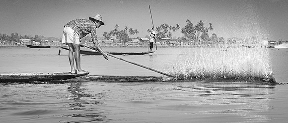 Corralling the Fish, Myanmar