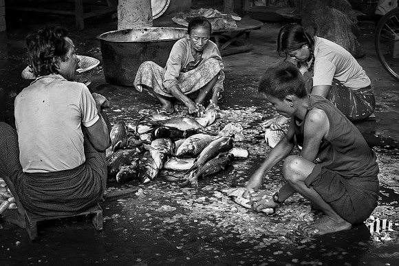 Preparing Fish for Dinner, Myanmar