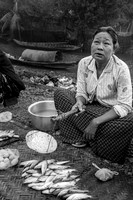 Fishmonger, Myanmar