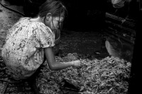 Picking Through the Shrimp Shells, Myanmar