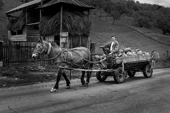 Pumpkin Wagon, Stramtura, Romania