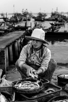 Fishmonger, Vietnem