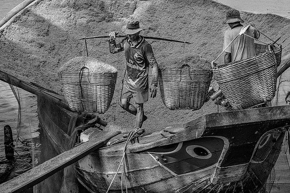 Offloading Rice Hulls, Mekong Delta, Vietnam