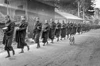 The Alms Line, Myanmar