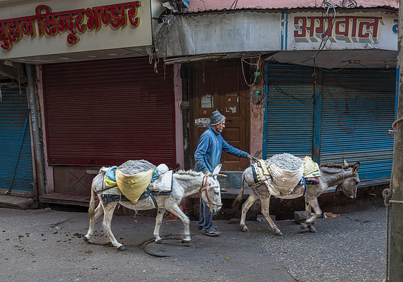 Working Donkeys