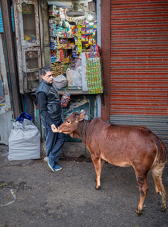 Good Cow