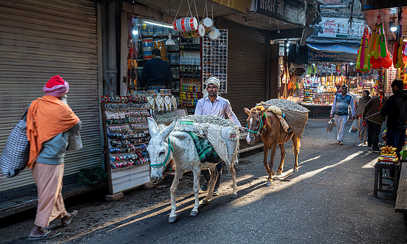 Working Donkeys