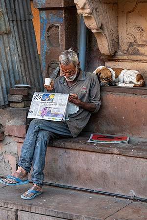 The Daily News