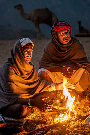 Pushkar Camel Festival