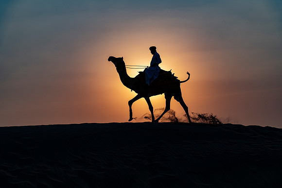 Pushkar Camel Festival