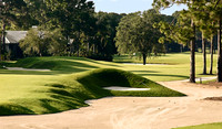 Recolored Oaks Club (6 of 26)