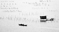 Fishing near Chan May