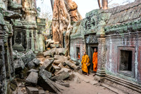 Ta Prohm, Siem Reap Cambodia
