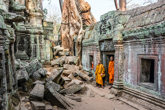 Ta Prohm, Siem Reap Cambodia