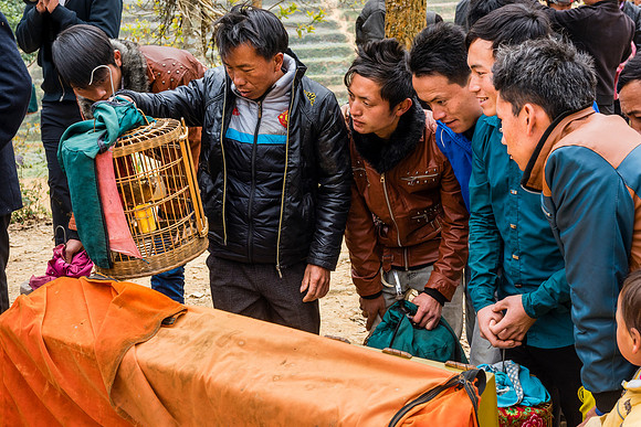 Buying Birds at Market - North Vietnam
