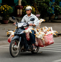 Vietnam & Cambodia Life