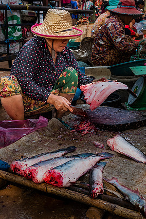 Cambodia Fish Market