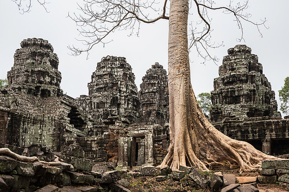 Ta Prohm, Siem Reap, Cambodia