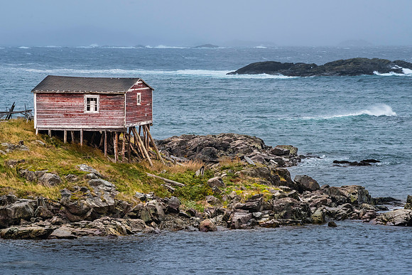 Checking Out #1, Newfoundland