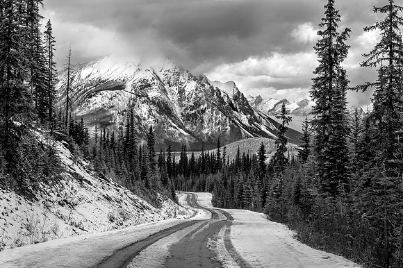 Kananaskis Ridge, Canmore, Alberta
