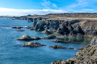 Arnarstapi Coastline, Snaefellsnes Peninsula, Iceland