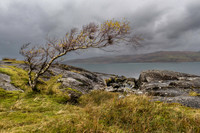On Loch Na Keal, Isle of Mull