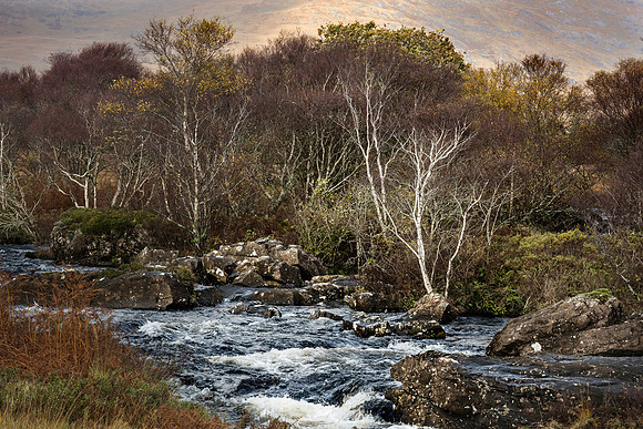 Loch Scridain, Isle of Mull