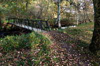 Near River Spey, Cragganmore