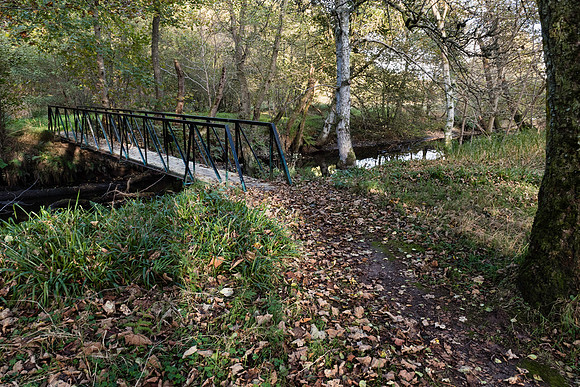 Near River Spey, Cragganmore