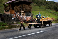 Pumpkin Wagon, Stramtura, Romania