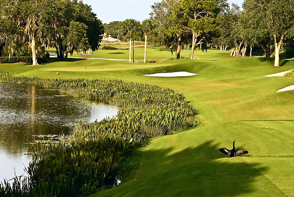 Recolored Oaks Club (5 of 26)