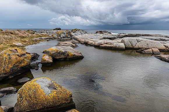Rock Pool, Bingi Bingi Point, NSW, Australia