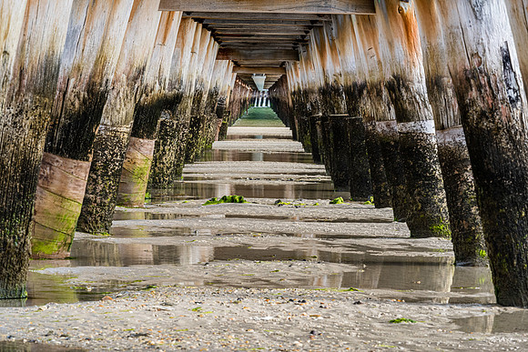Under the Dock, Port Welshpool, Victoria, Australia